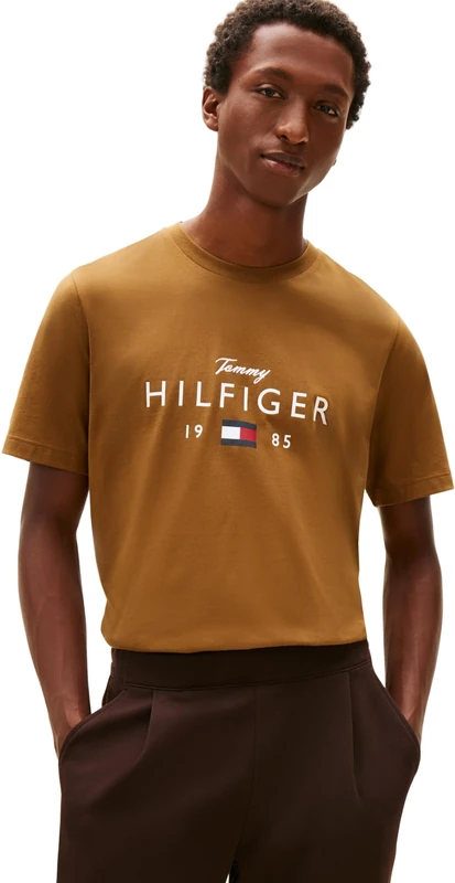 Tommy Hilfiger Men Brand Love Big Hilfiger TEE MW0MW41455 S/S T-Shirt, Brown, XS