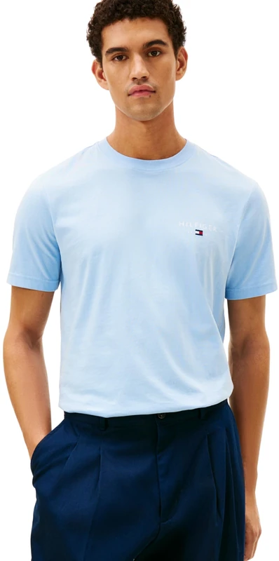 Tommy Hilfiger Men Brand Love Small Hilfiger TEE MW0MW41456 S/S T-Shirt, Blue, XS