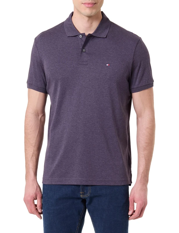 Tommy Hilfiger Men Liquid Cotton REG Seasonal Polo MW0MW39994 S/S Polo, Purple, M
