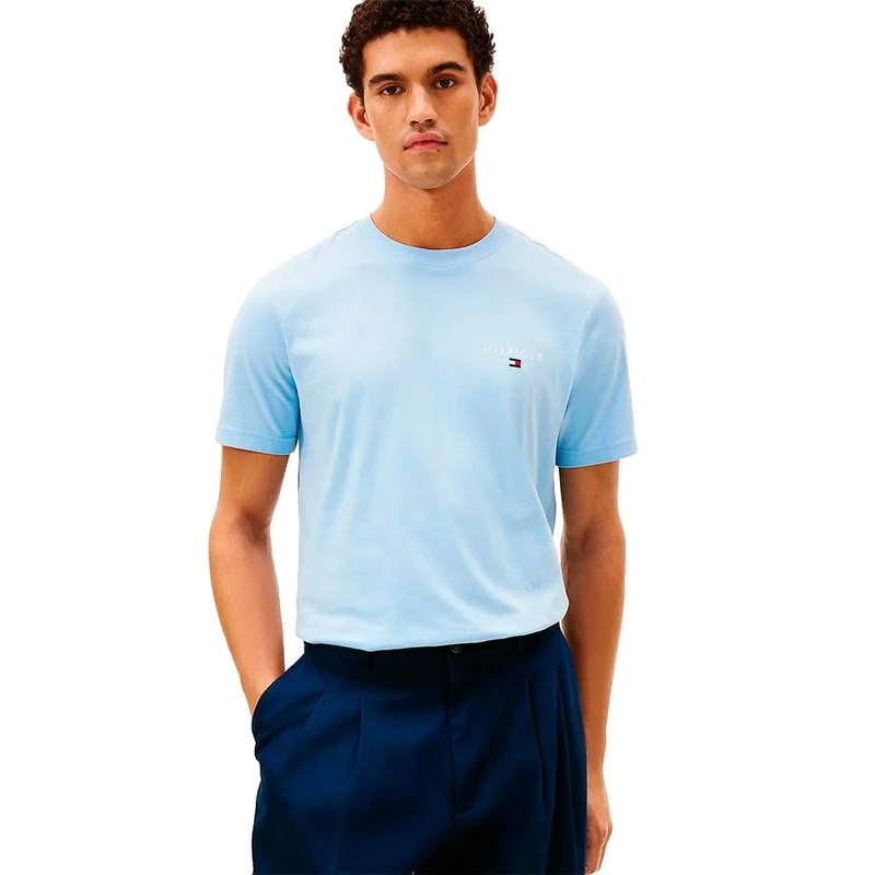 Tommy Hilfiger Men Brand Love Small Hilfiger TEE MW0MW41456 S/S T-Shirt, Blue, XXL