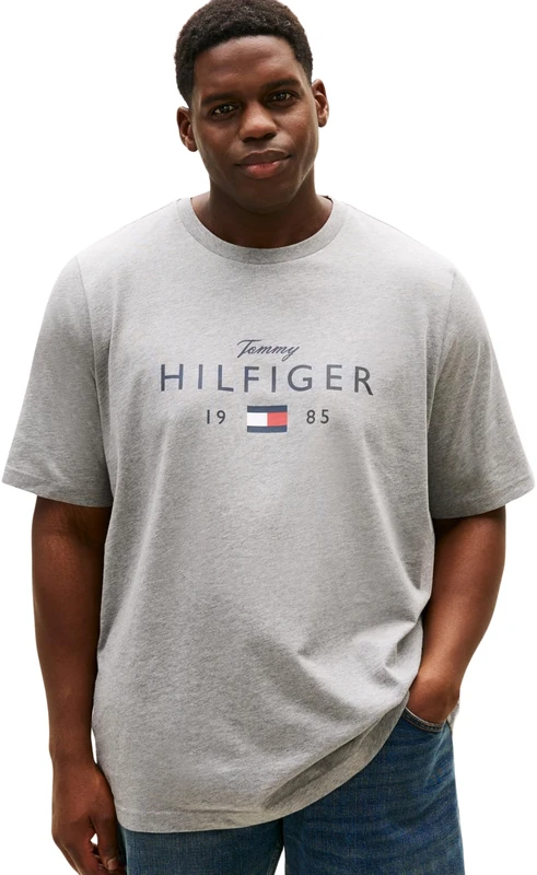 Tommy Hilfiger Men BT-Brand Love Big Hilfiger TEE-B MW0MW43005 S/S T-Shirt, Grey, 3XL_Plus