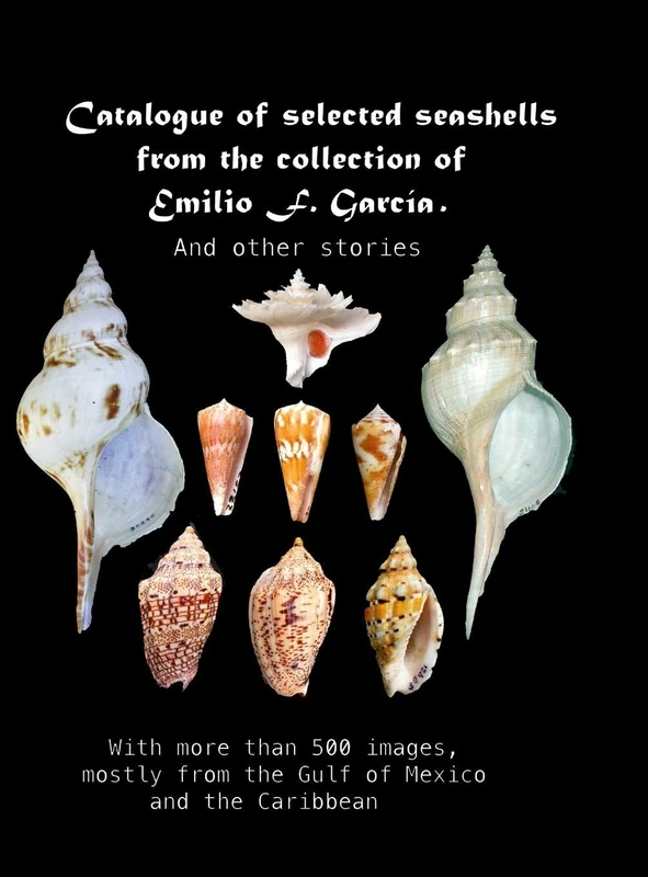 Catalogue of selected seashells from the Emilio F. García collection. And other stories.: With more than 500 images, mostly from the Gulf of Mexico and the Caribbean - Image 1