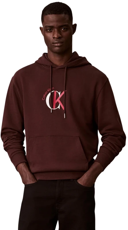 Calvin Klein Men's LS EU 350TERRY GRAPHIC HOODIE LV04RE255G Sweatshirts, BROWN (Rich Brown), L