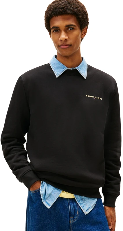 Tommy Jeans Men's TJM REG LINEAR CREW EXT DM0DM20249 Pullover Sweatshirt, BLACK (Black), L