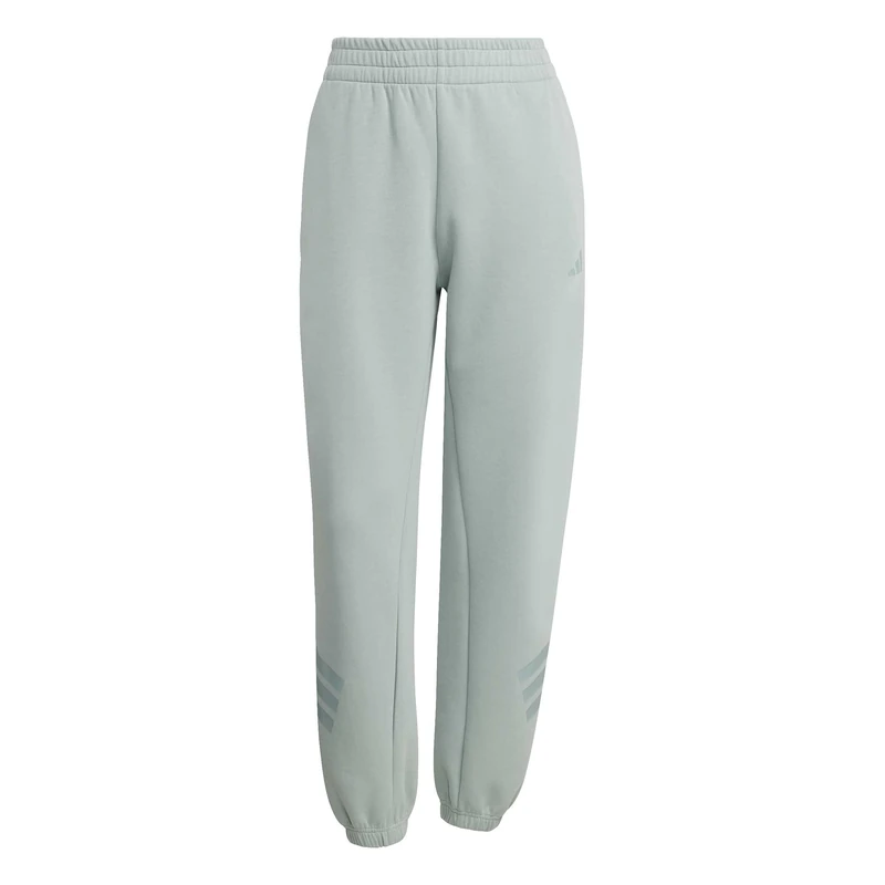 adidas Women's Future Icons Three Stripes Regular Pant, Wonder Sage, XL