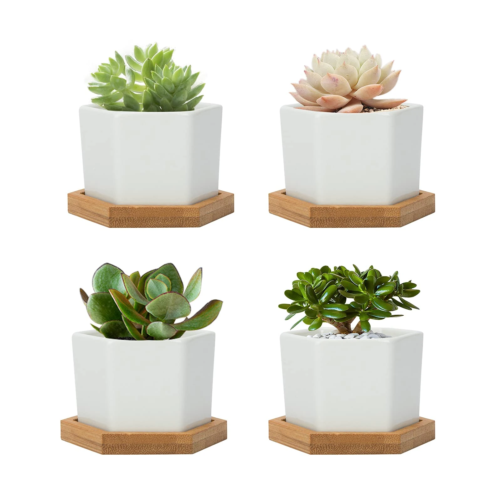 FORAGIFT 7CM Succulent Plant Pots, Simple Design Hexagon Small Flower Pot, White Ceramic Cactus Pots with Bamboo Tray and Drainage Hole, Great for Home Office Decor, Set of 4 (Plants Not Included)