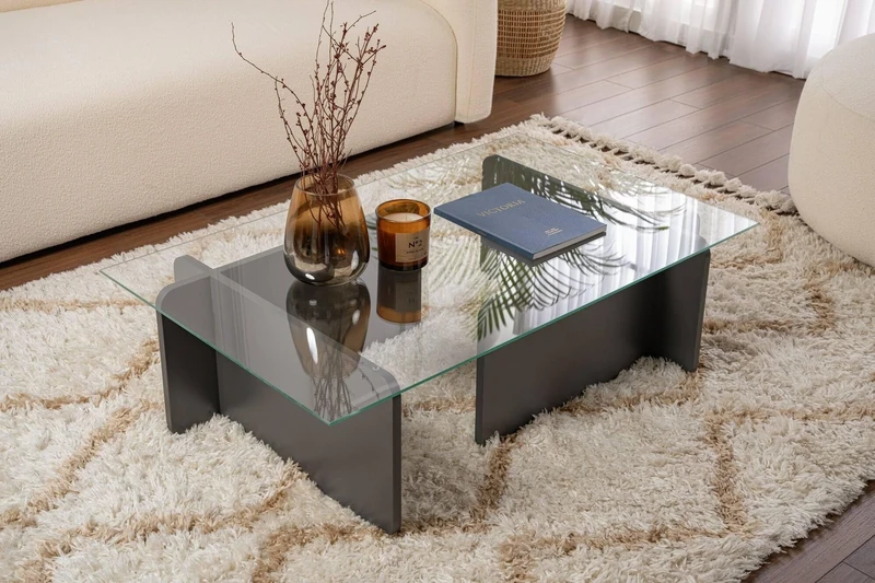 Dmora - Coffee table Itri, Low coffee table, Magazine rack for sofa, Living room shelf, 105x65 h30 cm, Anthracite