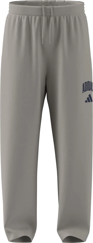 adidas Men's Collegiate Pants, Wonder Alumina/Dark Blue, XL