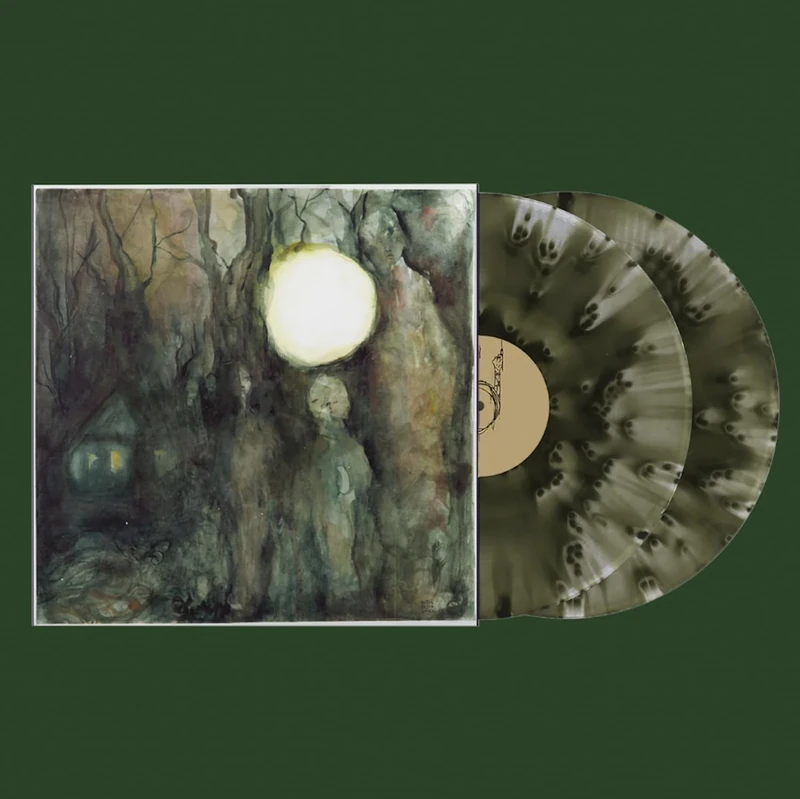 I DIDN'T MEAN TO HAUNT YOU [VINYL] - Image 1