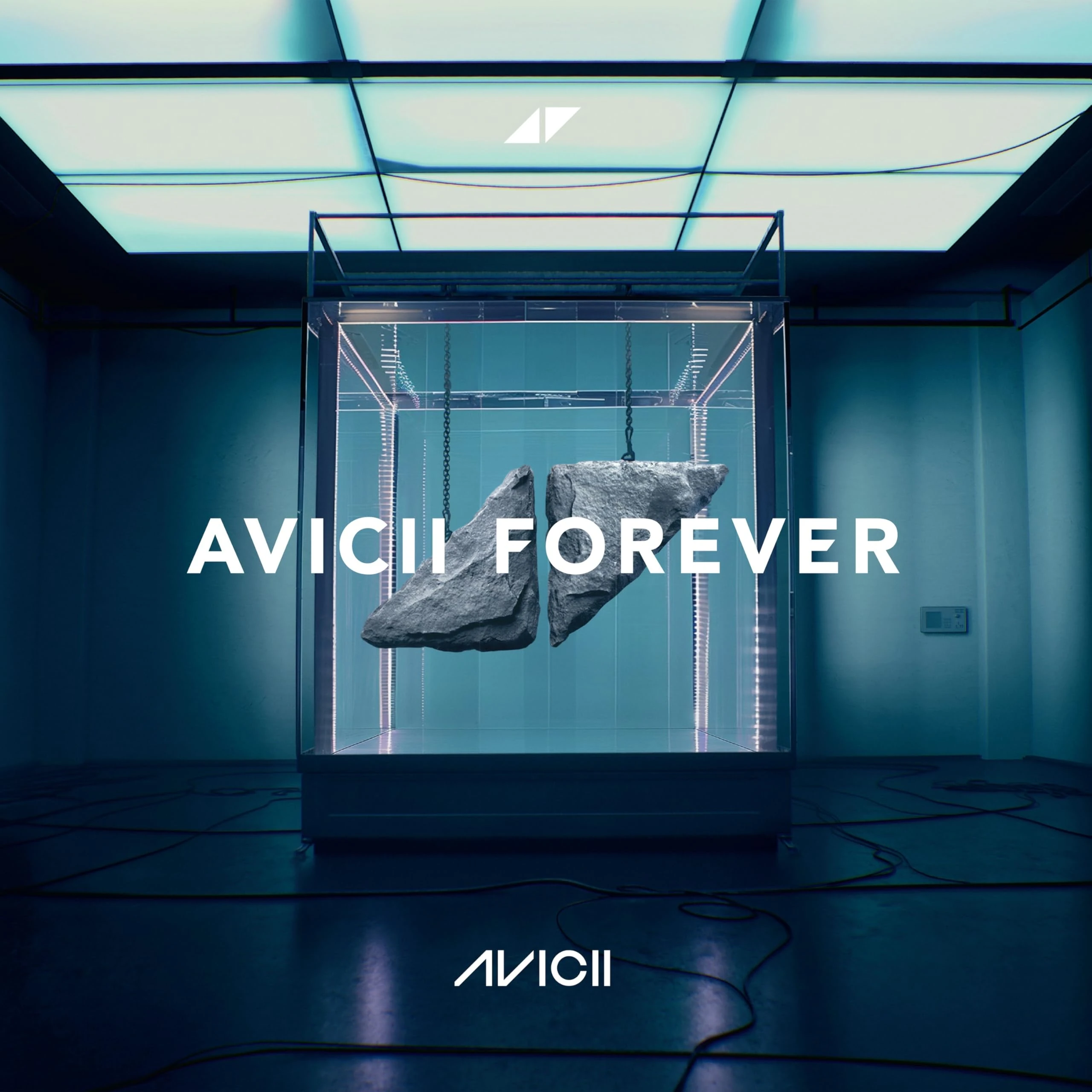 Avicii Forever [VINYL]