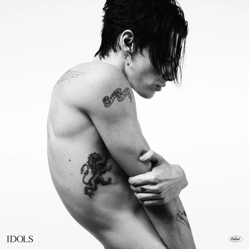 Idols [Explicit]