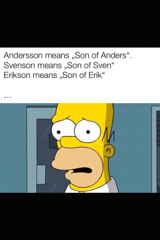 Funny Meme Notebook – “Homer’s Realization” Edition | 100 Lined Pages