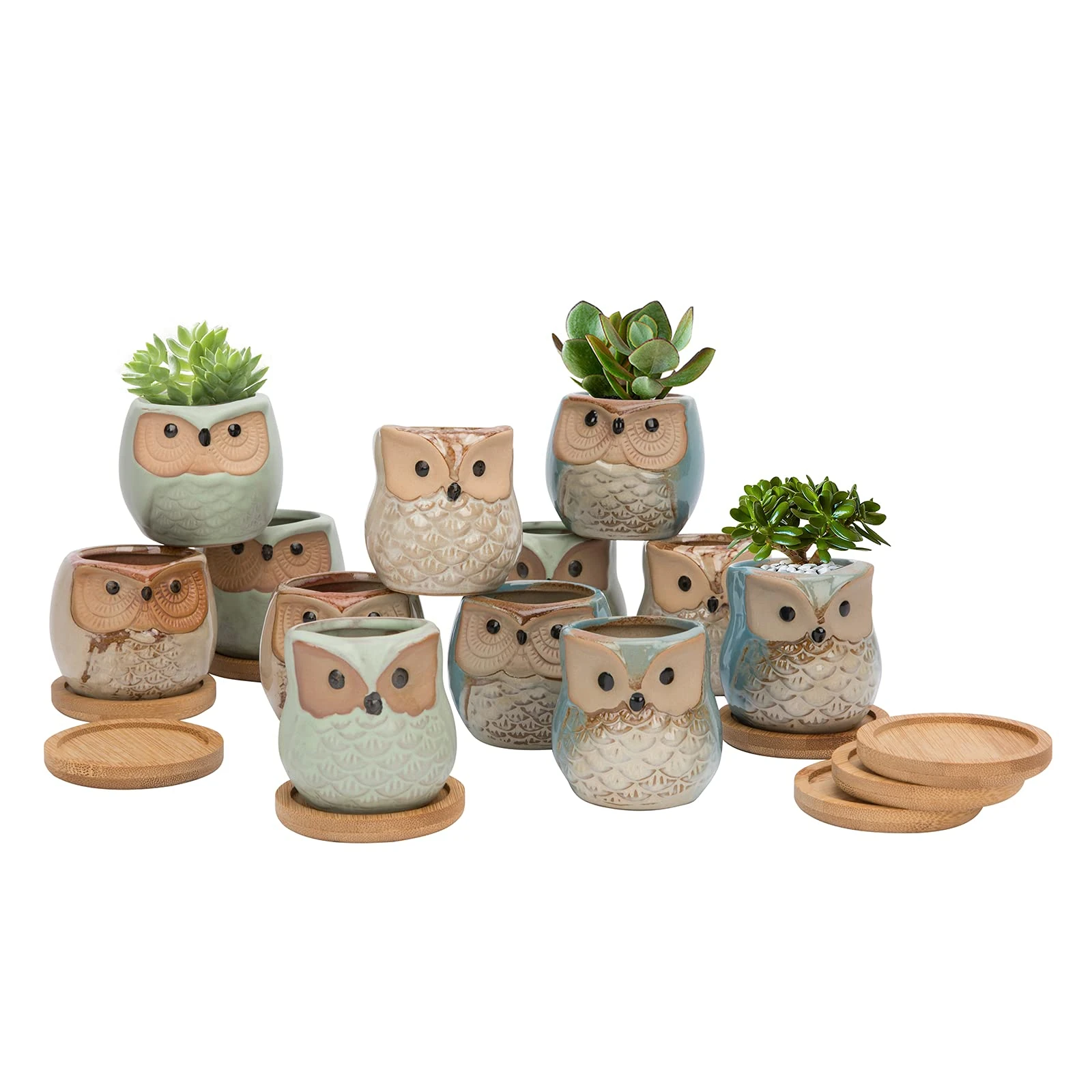 FORAGIFT Owl Succulent Pots, 6CM Cute Owl Cactus Pots Animal Small Plant Pot with Drain Hole and Bamboo Tray, and Great for Home Office Decor, Set of 12 (Plants Not Included)