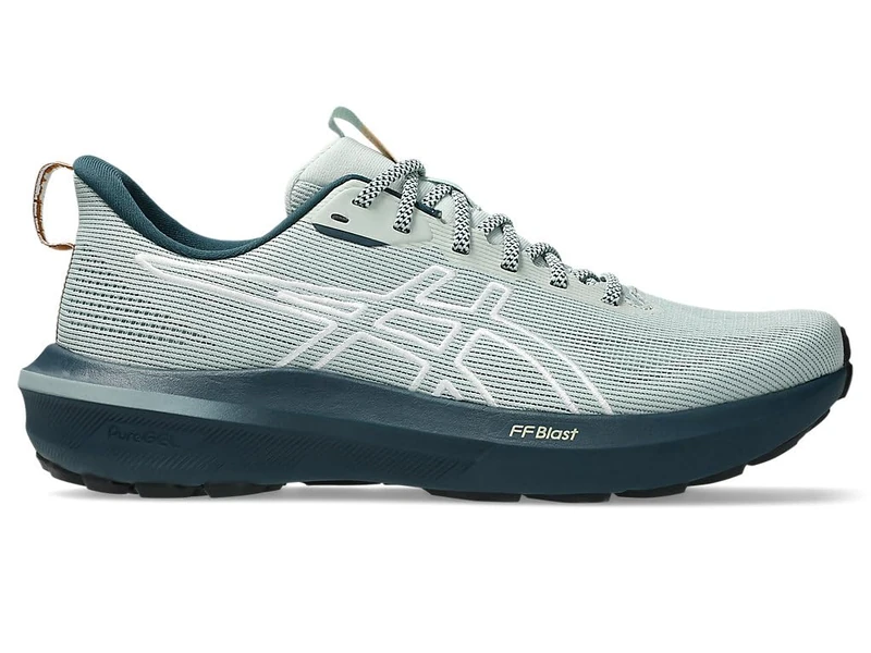 ASICS Men's GT-1000 14 TR Sneaker, Nature Bathing Lichen Skirt, 8 UK