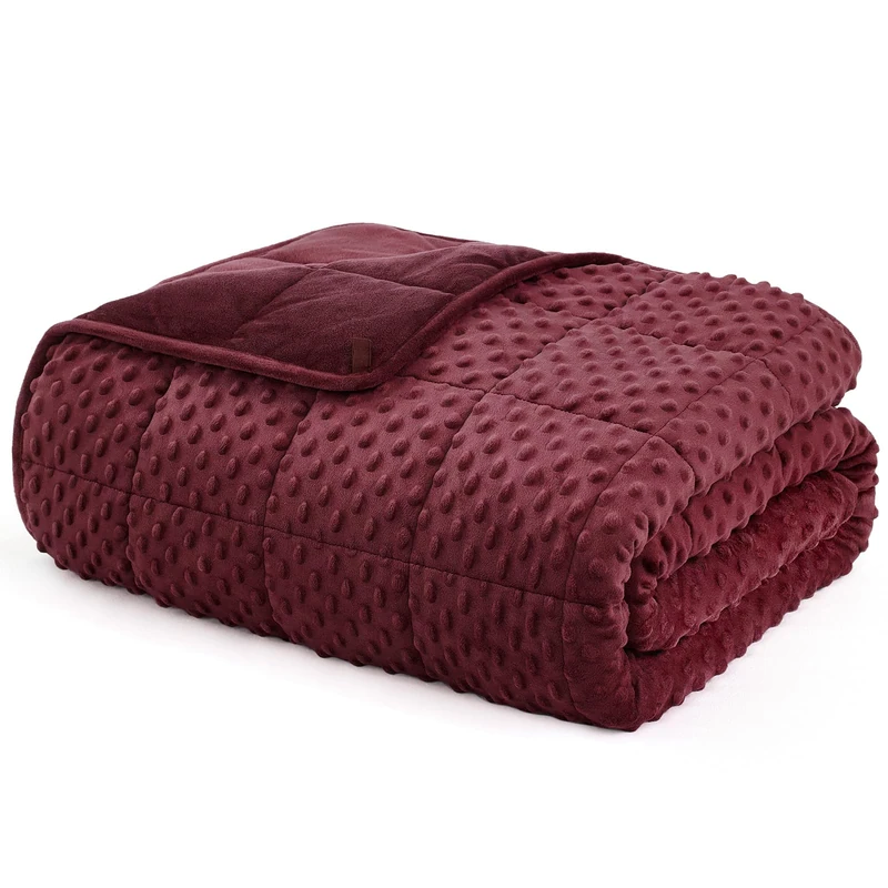 L'AGRATY Weighted Blanket for Adult - 60"x80" 20lbs Minky Dots Heavy Blanket with Glass Beads Soft Breathable for All-Season Summer Fall Winter Thick Comfort for Sleeping