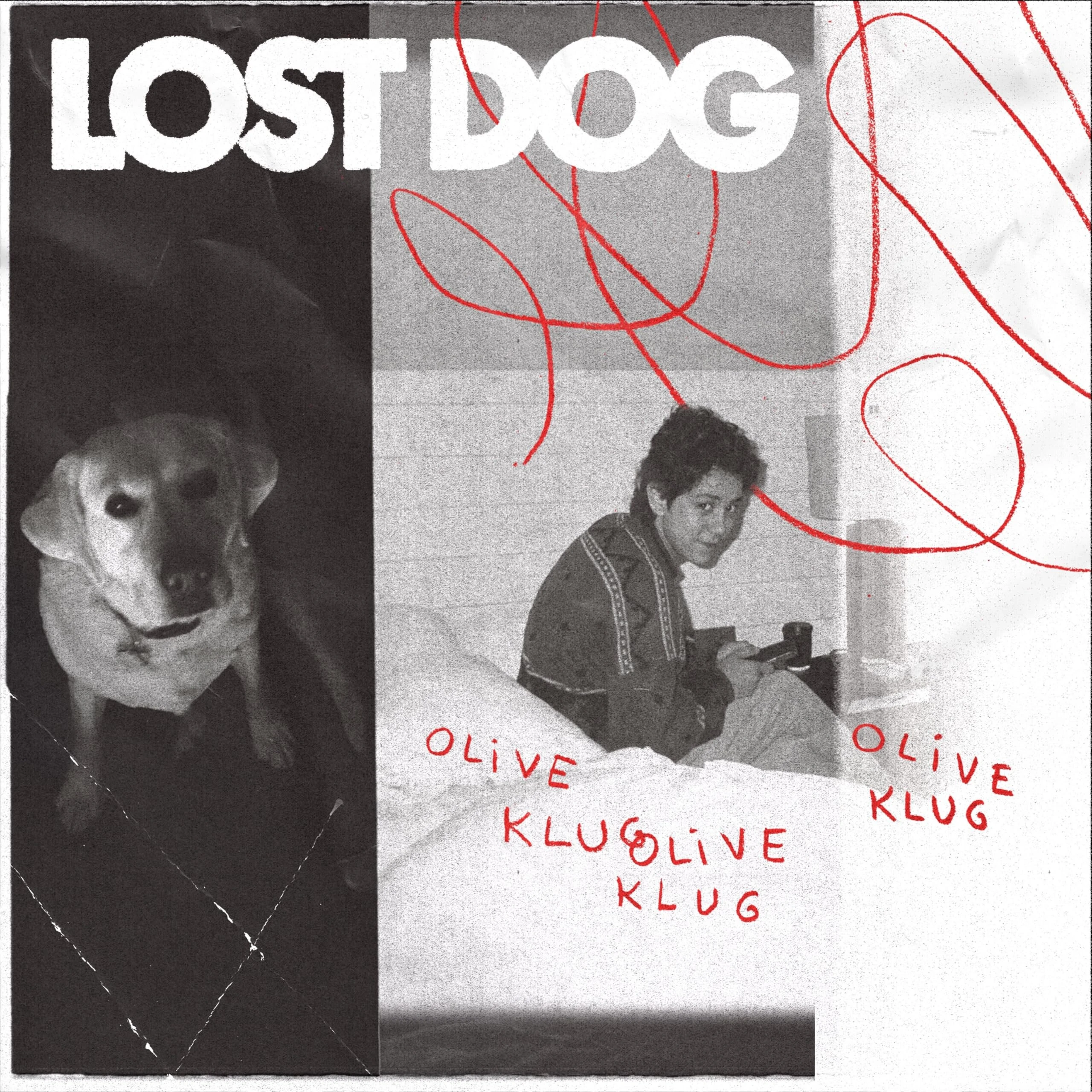 Lost Dog [VINYL]