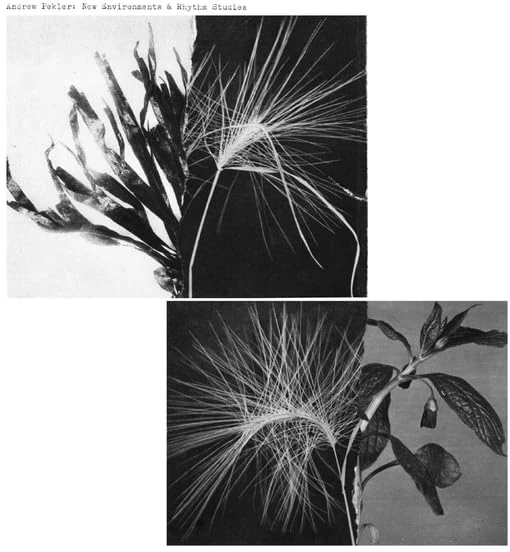 New Environments & Rhythm Studies [VINYL]