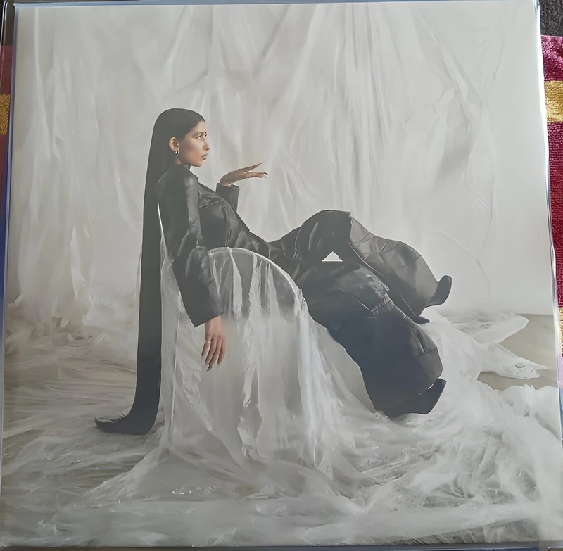 I Can't Remember the Name of This But That's OK Vinyl - Rock Record