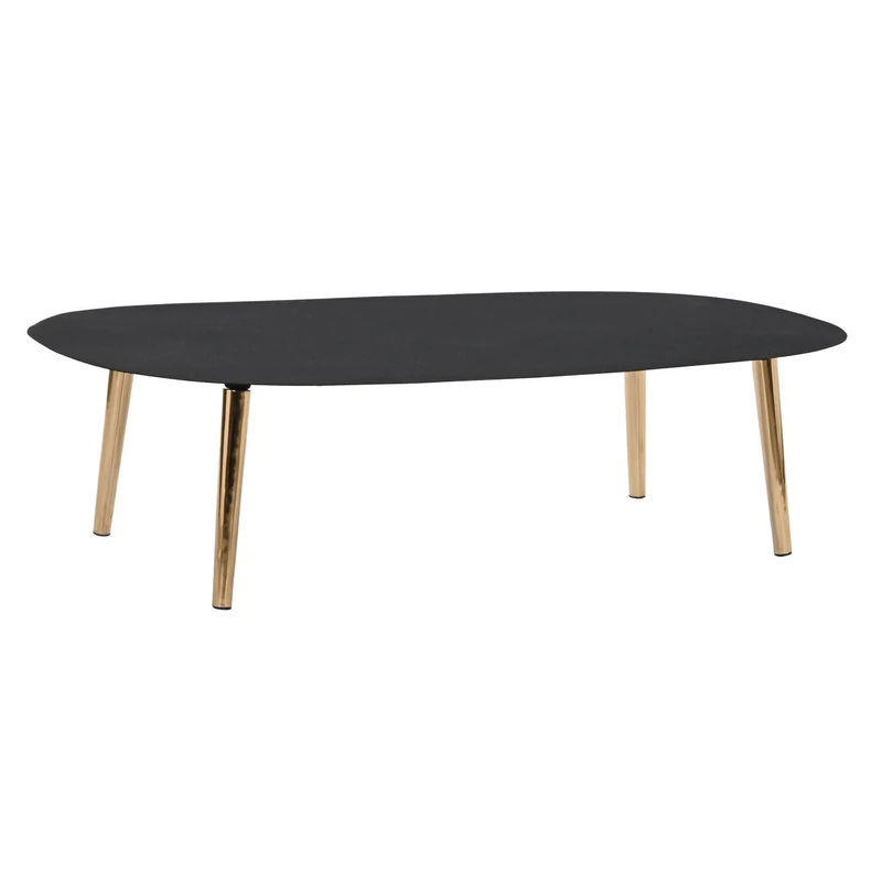 AlexandreHouse TABLE CENTER IRON 122X60X30 RUGOSO BLACK