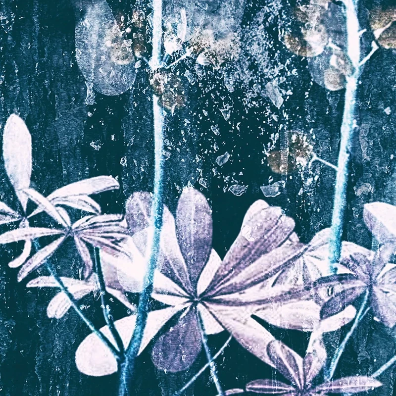 Ljostillifun [VINYL]