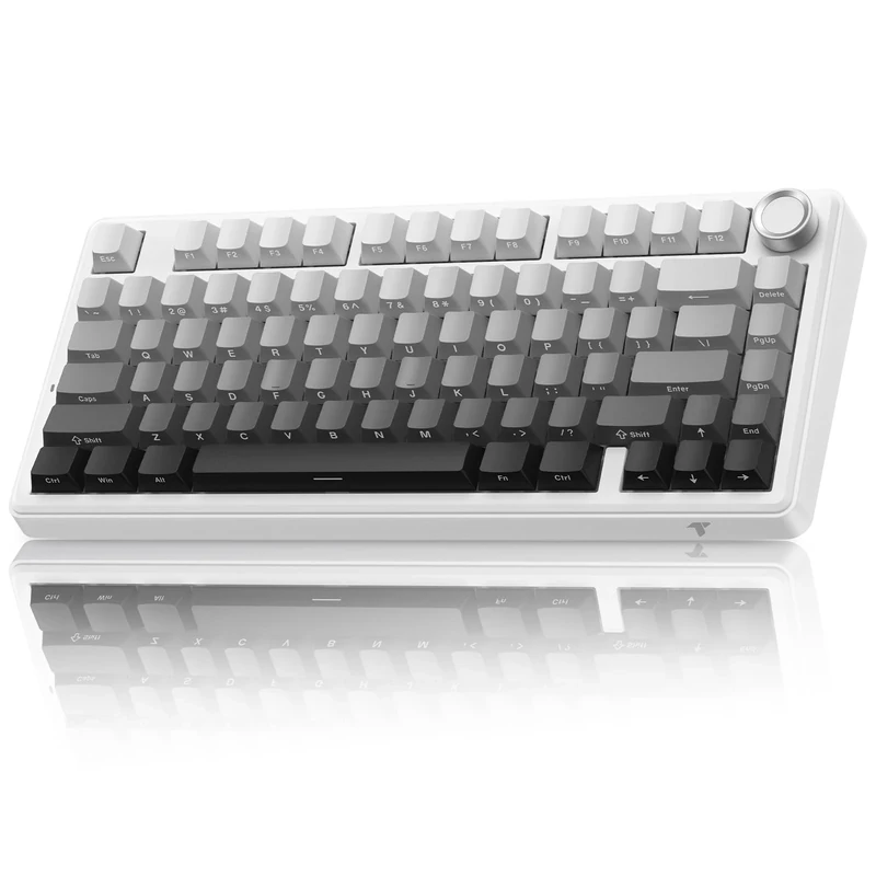 TECURS Mechanical Gaming Keyboard | Hot-Swappable Wireless RGB Keyboard Sideprinted |2.4Ghz/Type-C/BT5.0 | Gasket Mount Custom Keyboard for PC/Mac/PS5/PS4, US Layout Gradient Grey