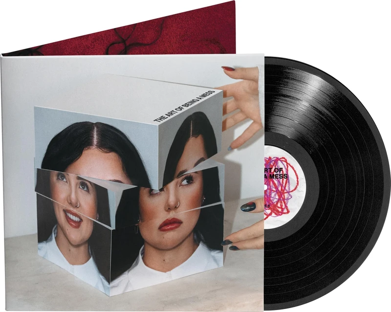 the art of being a mess - Standard LP [VINYL]