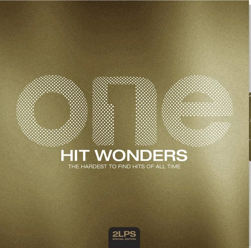 One Hit Wonders: The Hardest To Find Hits Of All Time [VINYL]
