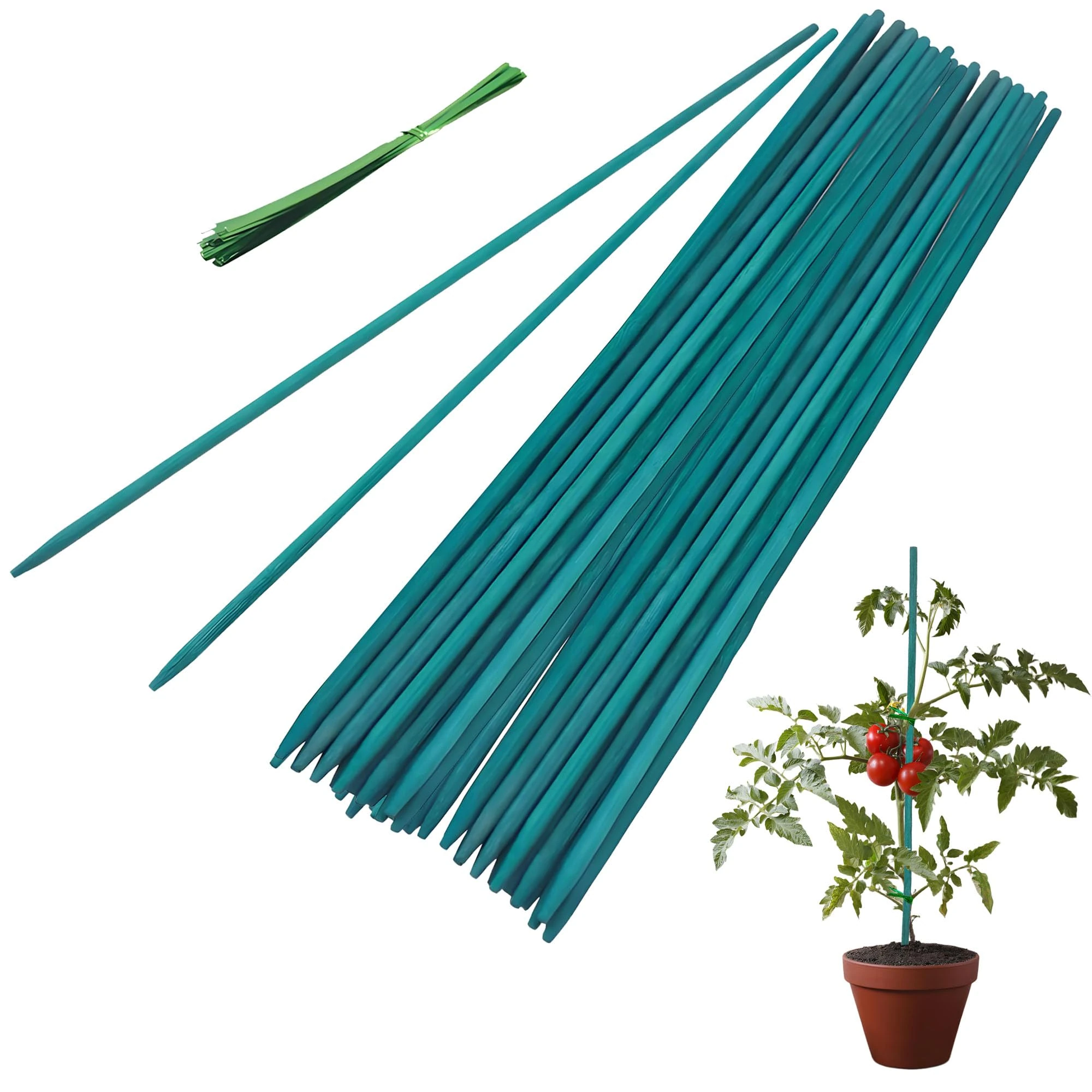 Garden Stakes, 50 Pieces 30cm Bamboo Sticks Plant Support Sticks with Twist Ties, Green Plant Stakes for Garden or Home Floral Picks Gardening Tripods Makin