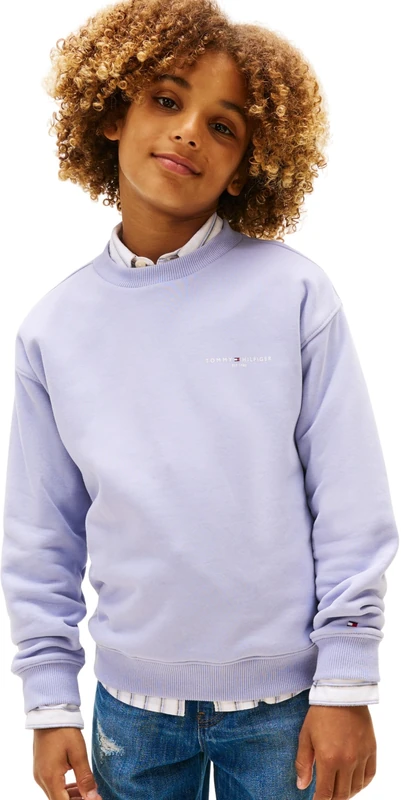 Tommy Hilfiger Unisex MINI CORP C-NECK SWEATSHIRT KS0KS00665 Pullover Sweatshirt, BLUE (Periwinkle Dusk), 12 Years