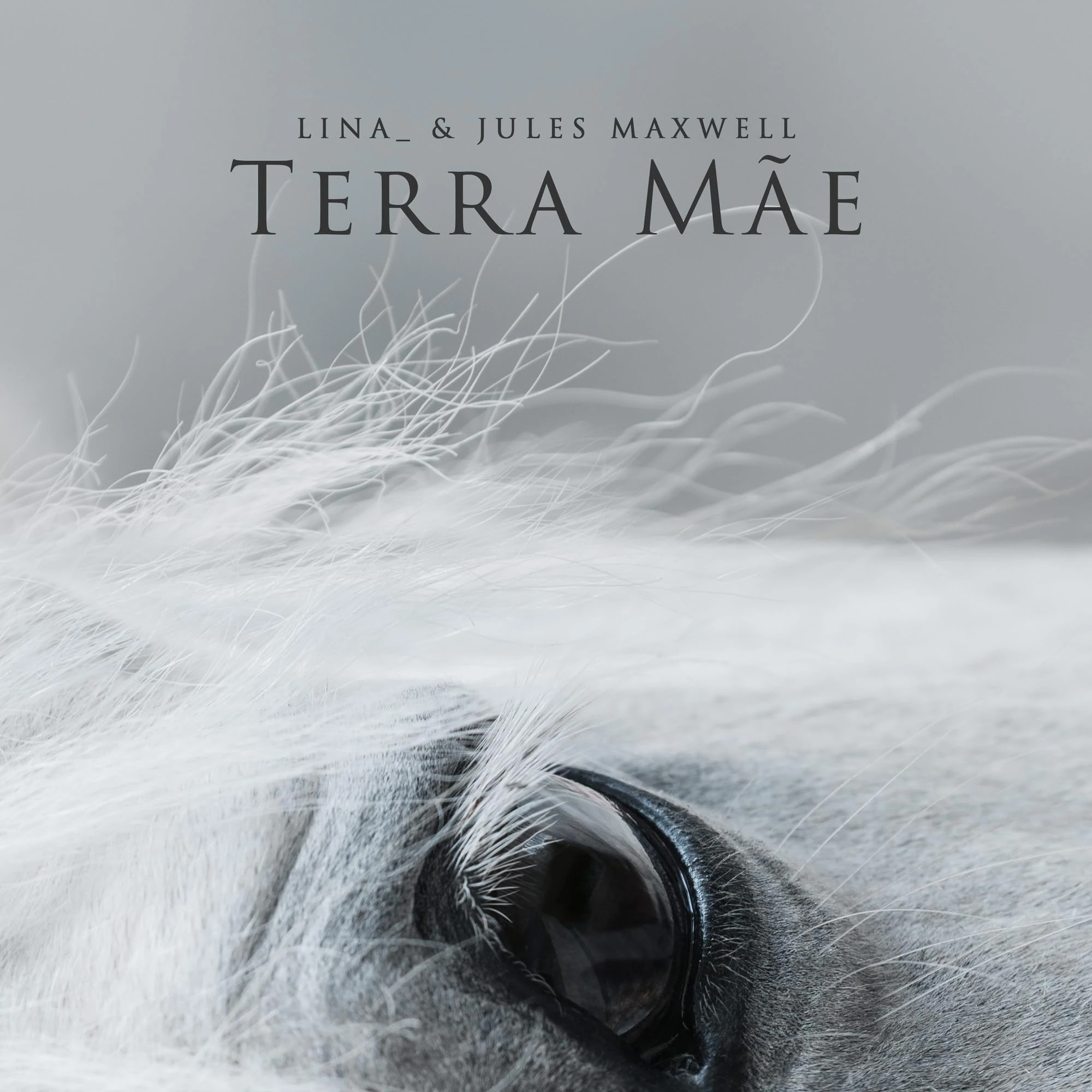 Terra Mãe [VINYL]