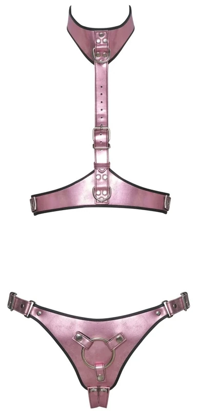Bad Kitty Harness Set Rose S/M