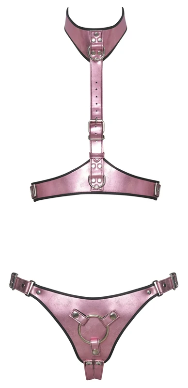 Bad Kitty Harness Set Rose L/XL