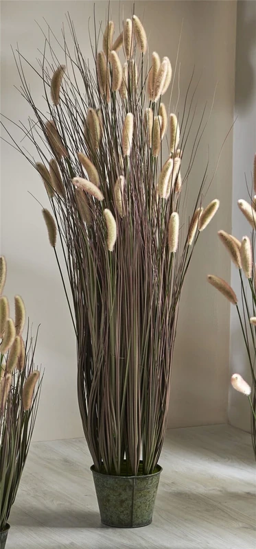 Hierba De Cola De Zorro Tonos Rojizos 145 cm. 145 cm