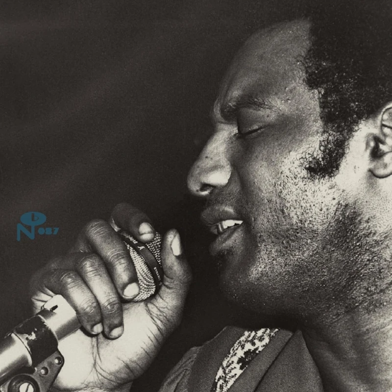 Trying to Survive [VINYL]