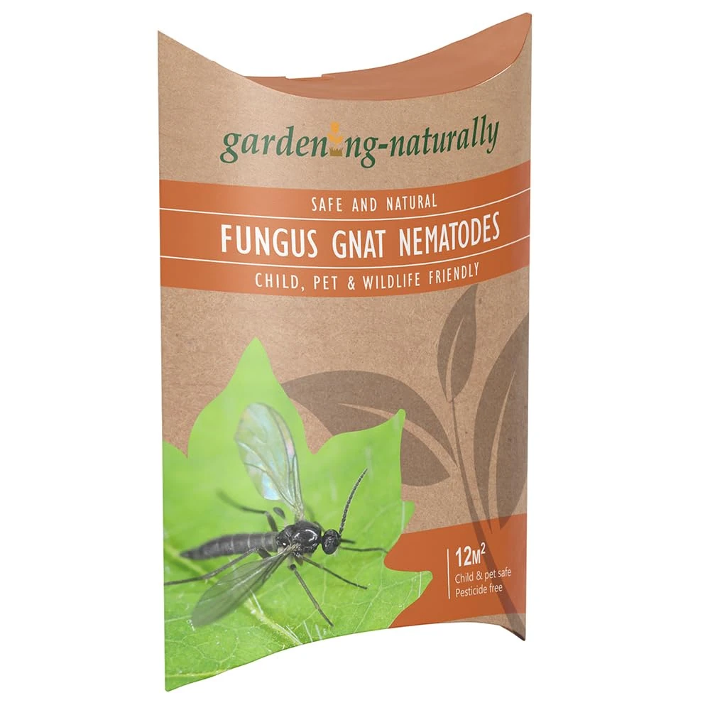 Fungus Gnat Nematodes for Houseplants and Indoor Plants – Natural Soil Drench Treatment for Fungus Gnat Larvae in Compost – Treats up to 12 sq.m