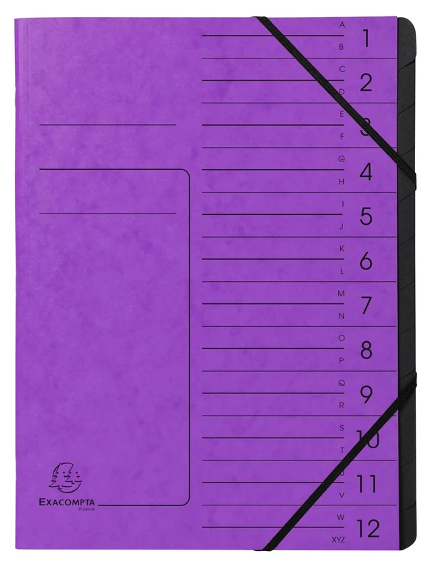 Exacompta - Ref 541208E - Box of 10 Staple-Backed folders - Elastic Bands - Printed Glossy Cardboard Cover - Black Recycled Card Inside - 12 compartments - 24.5 x 32 cm - A4