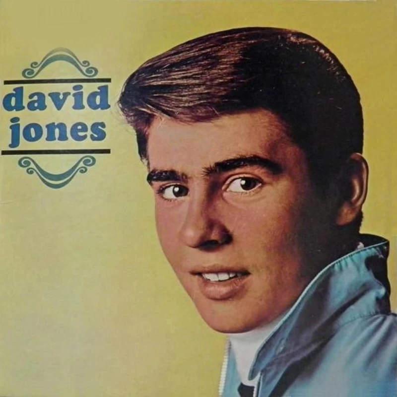 David Jones (180 Gram Audiophile Vinyl/Limited Edition) [Vinyl LP] [VINYL]