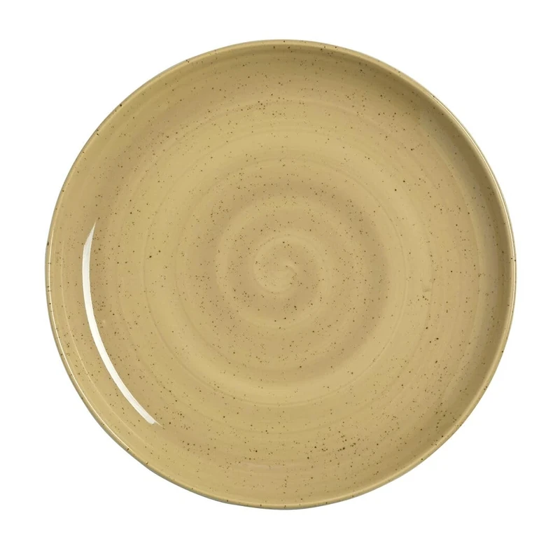 Steelite Amari Dijon Nordic Coupe Plate 10inch / 25.3cm, Pack of 12