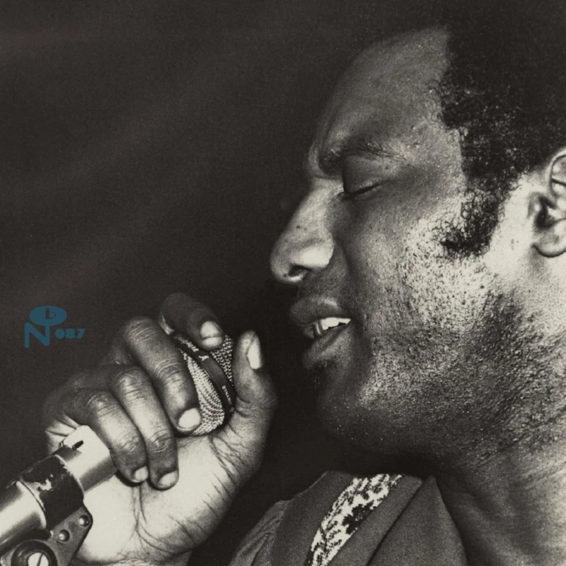 Trying To Survive [VINYL]