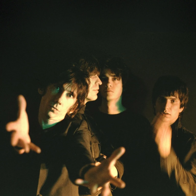 Pop Goes The Weasel [VINYL]