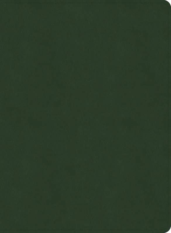 NASB Study Bible, Olive LeatherTouch