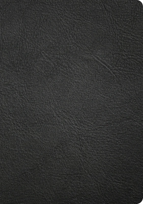 CSB Baker Illustrated Study Bible, Black Genuine Leather