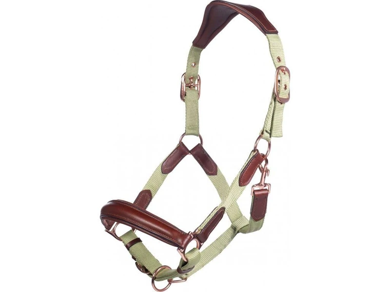 Hkm Edinburgh Head collar Pistachio Thoroughbred