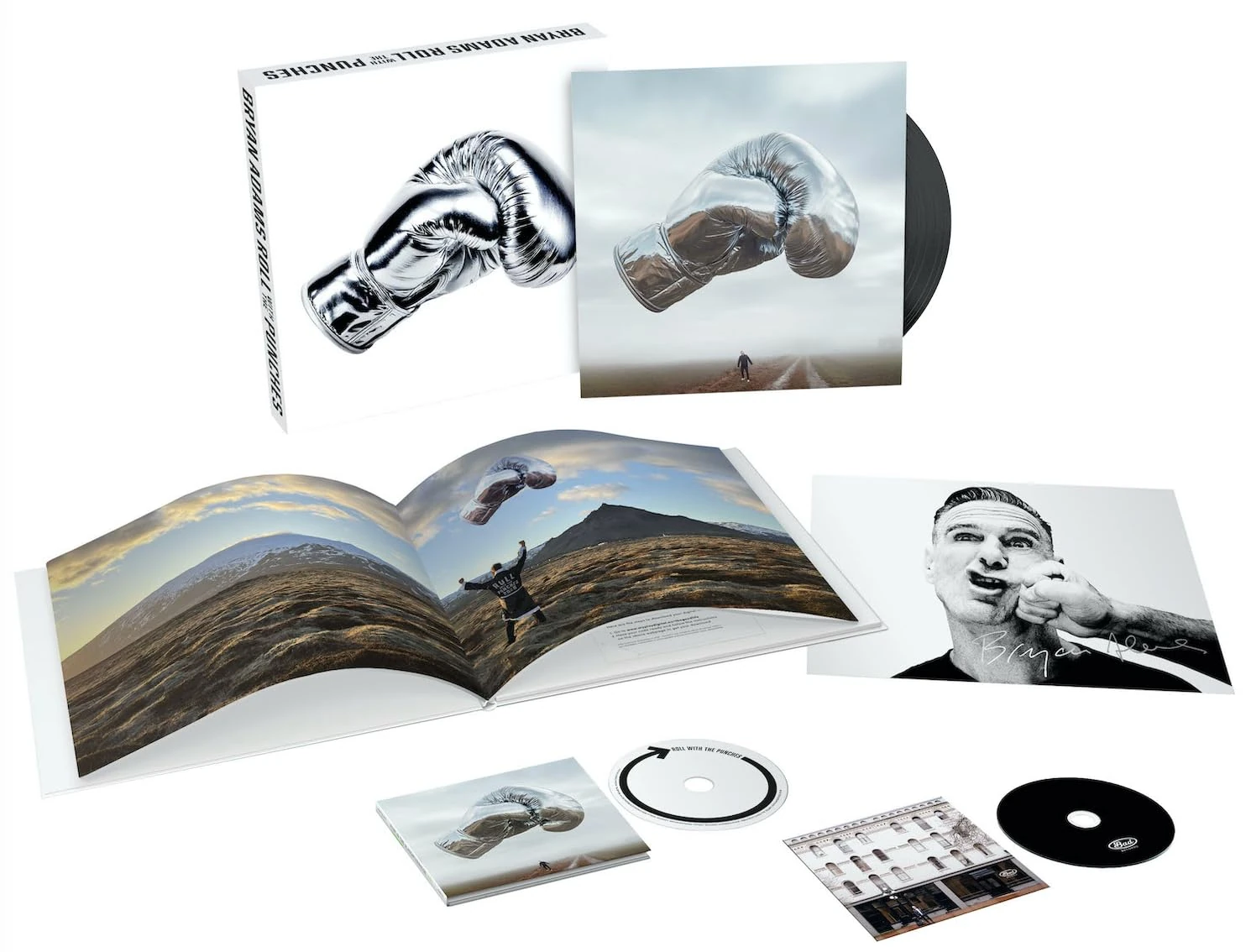 Roll With The Punches [VINYL]