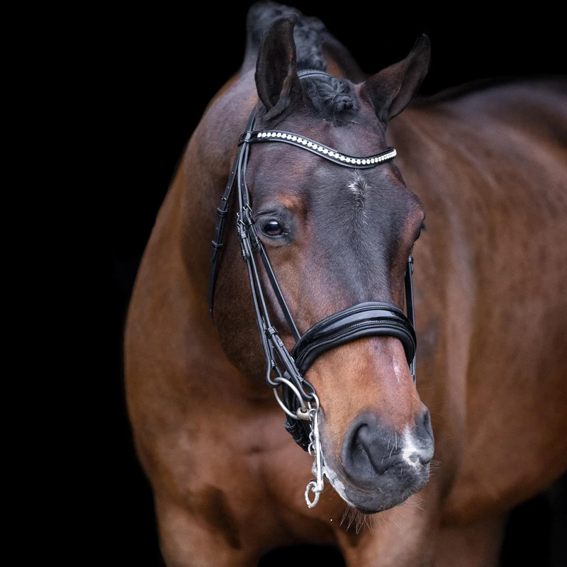 Imperial Riding IRHAthena Bridle P/S Black