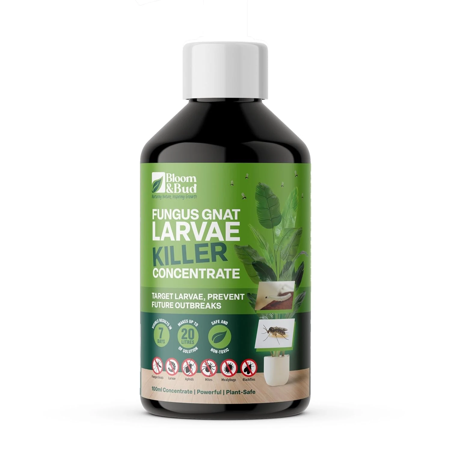 Bloom & Bud Fungus Gnat Larvae Killer Concentrate (100ml) – Makes 20 Applications – Fast-Acting Natural Gnat Control for Houseplants – Kills Larvae – Safe, Non-Toxic, Biodegradable