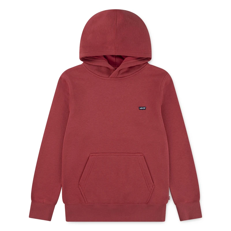 Levi's Kids Mini Batwing Hoodie Hooded Sweatshirt