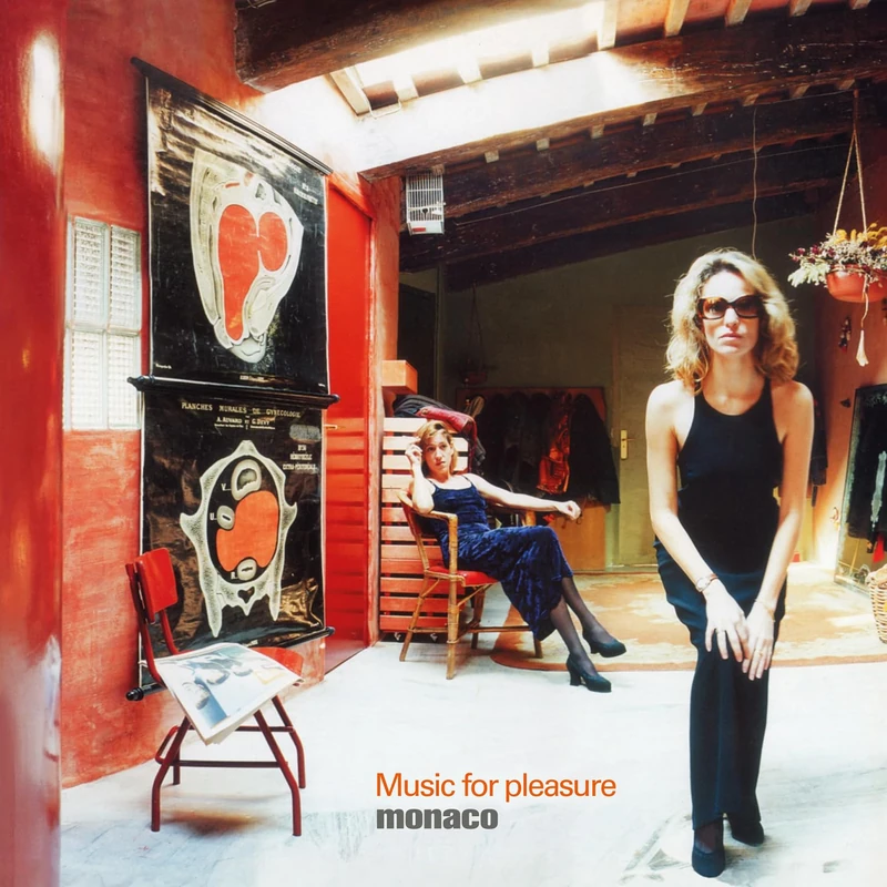 Music For Pleasure [VINYL]