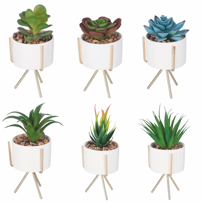 Set of 6 Artificial Succulent Plants with Pot and Gold Stand, Diameter 9 x 17 cm