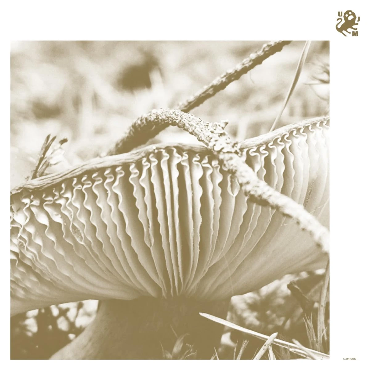 Rise & Bloom [VINYL]